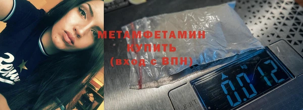 хмурый Верея