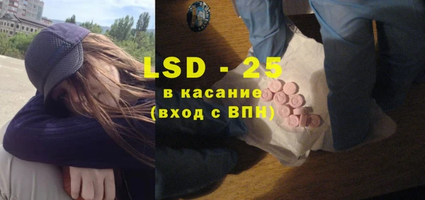 хмурый Верея