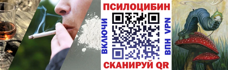 Галлюциногенные грибы MAGIC MUSHROOMS Демидов